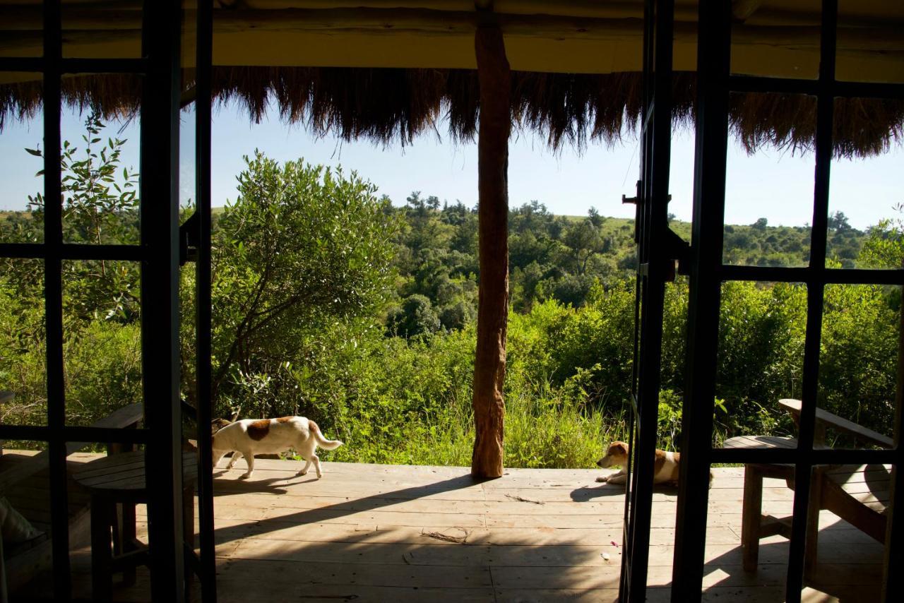 Olepangi Farm Villa Nanyuki Ngoại thất bức ảnh