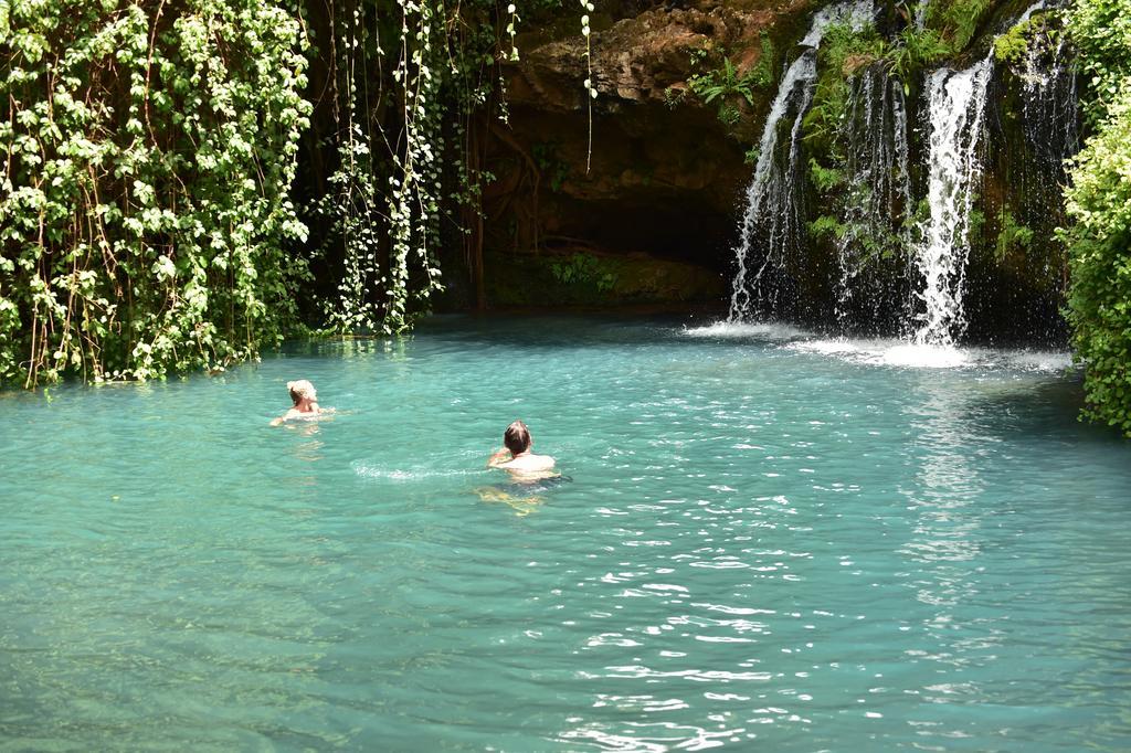 Olepangi Farm Villa Nanyuki Ngoại thất bức ảnh