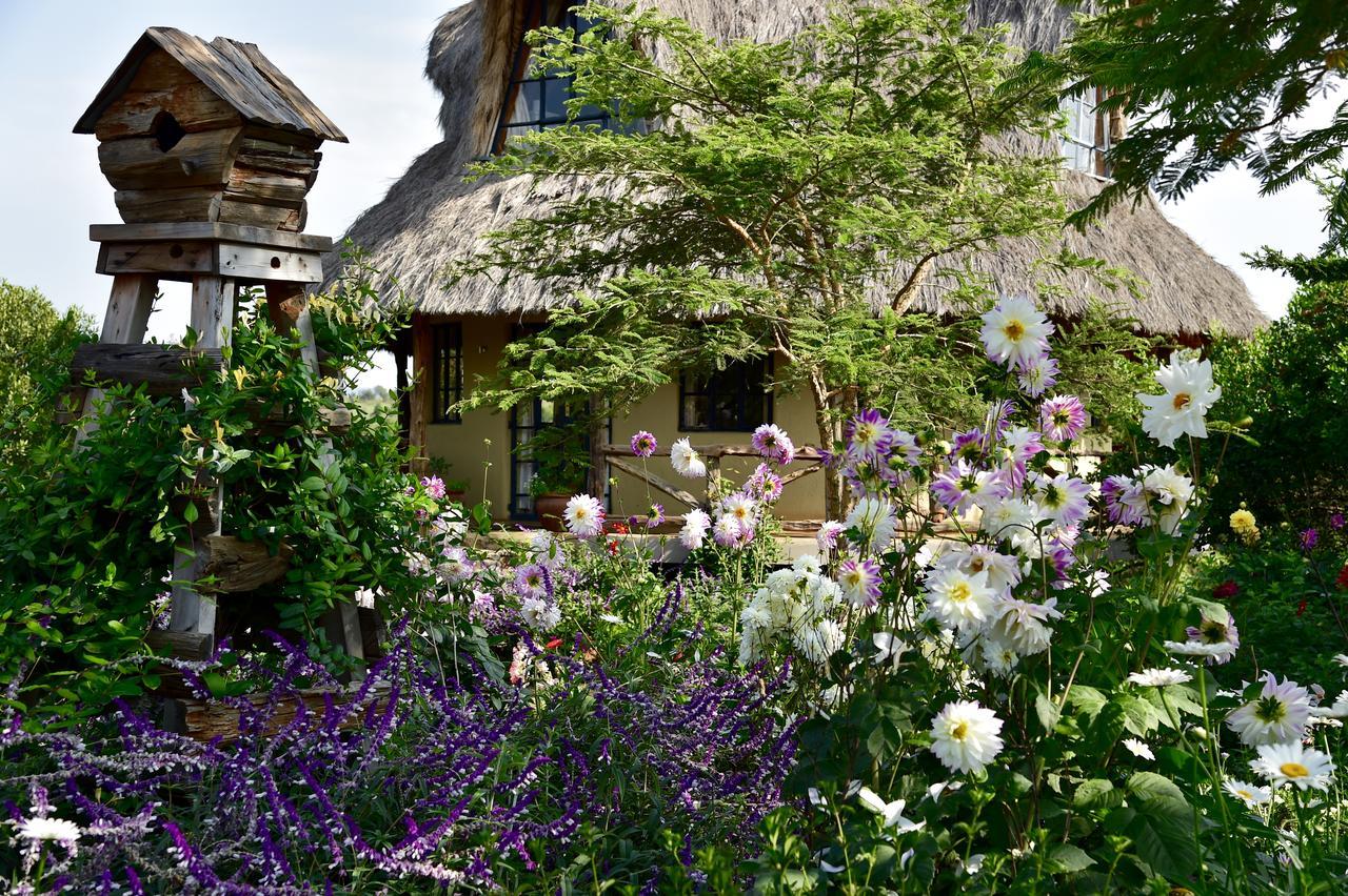 Olepangi Farm Villa Nanyuki Ngoại thất bức ảnh